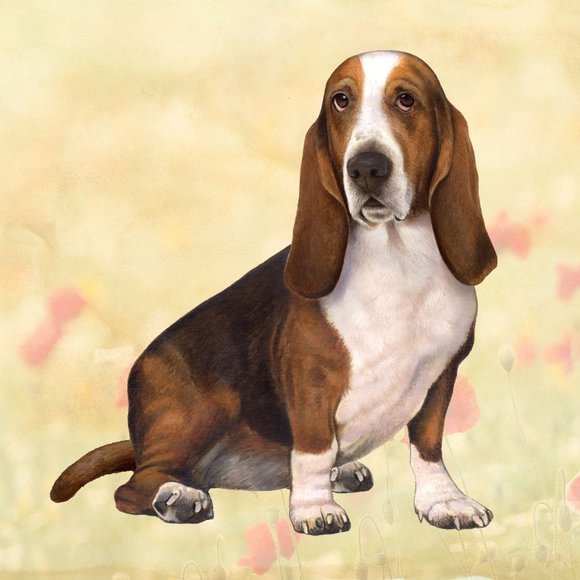 Bassett Hound Stone Coasters - Picture 1 of 1